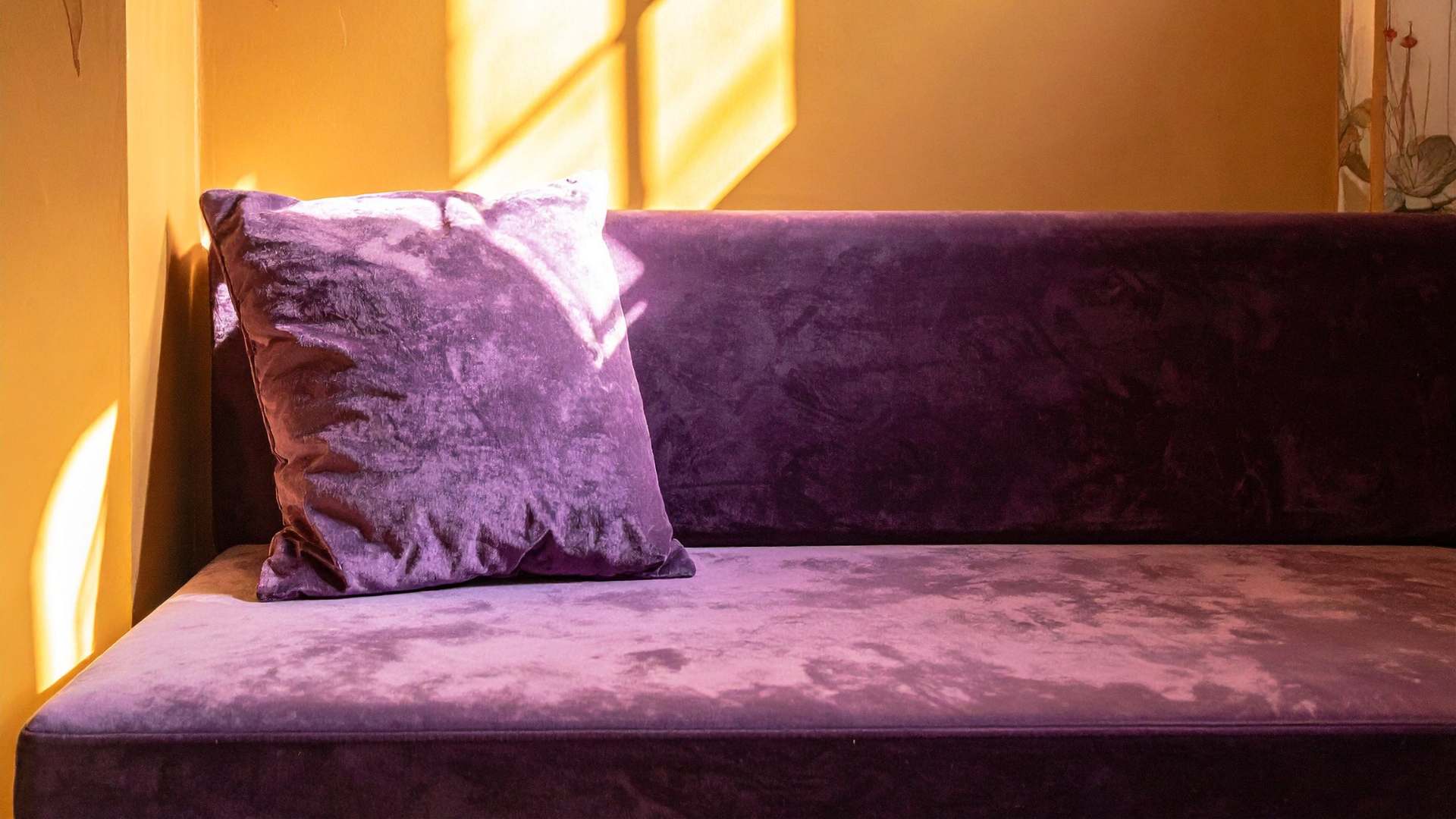 purple velvet couch close up